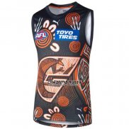 Camiseta GWS Giants AFL 2024 Indigena